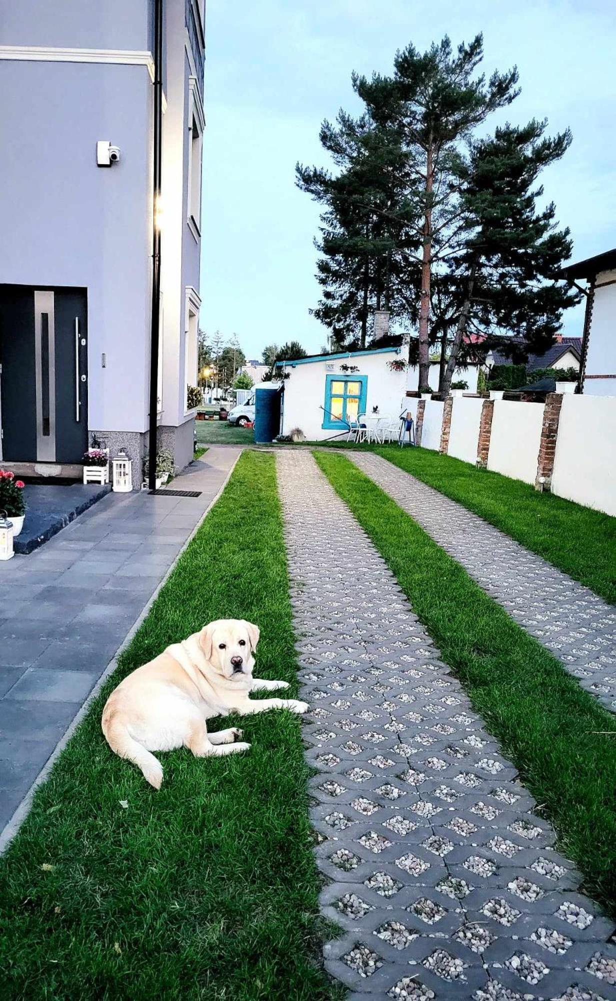 Villa Blue Mare Ustronie Morskie Exterior foto